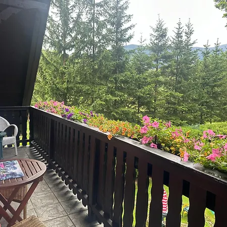 I Domino Parking W Cenie ! דירה קרפאז'