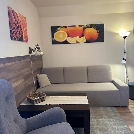 Apartment I Domino Parking W Cenie ! *